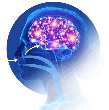 The Memory Breath