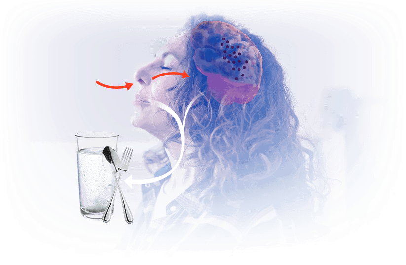 The Memory Breath